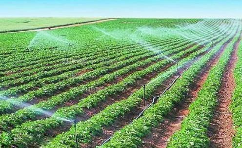 操逼不停农田高 效节水灌溉